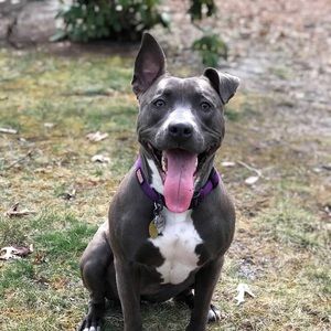 Meet your Posher, Lisette